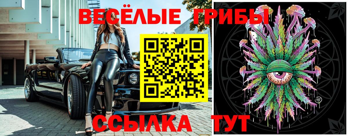 Псилоцибиновые грибы прущие грибы  Вход с VPN  Павлово  Псилоцибиновые грибы мухоморы 